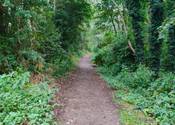 Sugarwell Hill Park running route