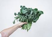 Eat Broccoli and Kale before a marathon