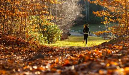 Running a Leeds trail covered in autumn leaves. Autumn running gear and motivation.